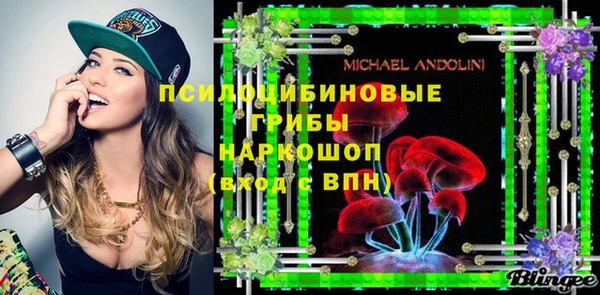 винт Михайловка