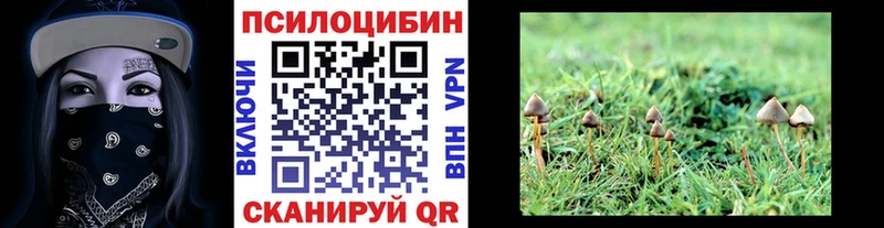 Галлюциногенные грибы GOLDEN TEACHER  цена   Ермолино 